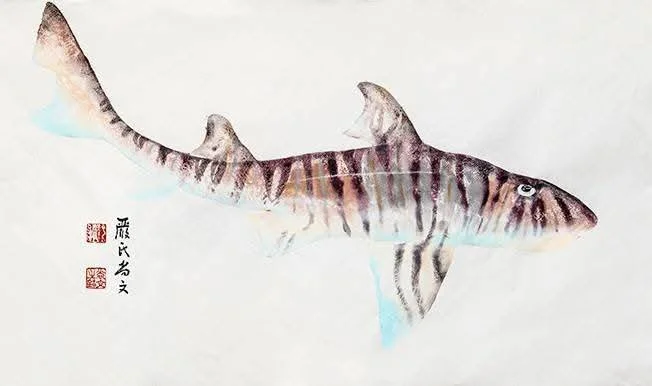 魚拓作品 7 - 斑紋異齒鯊